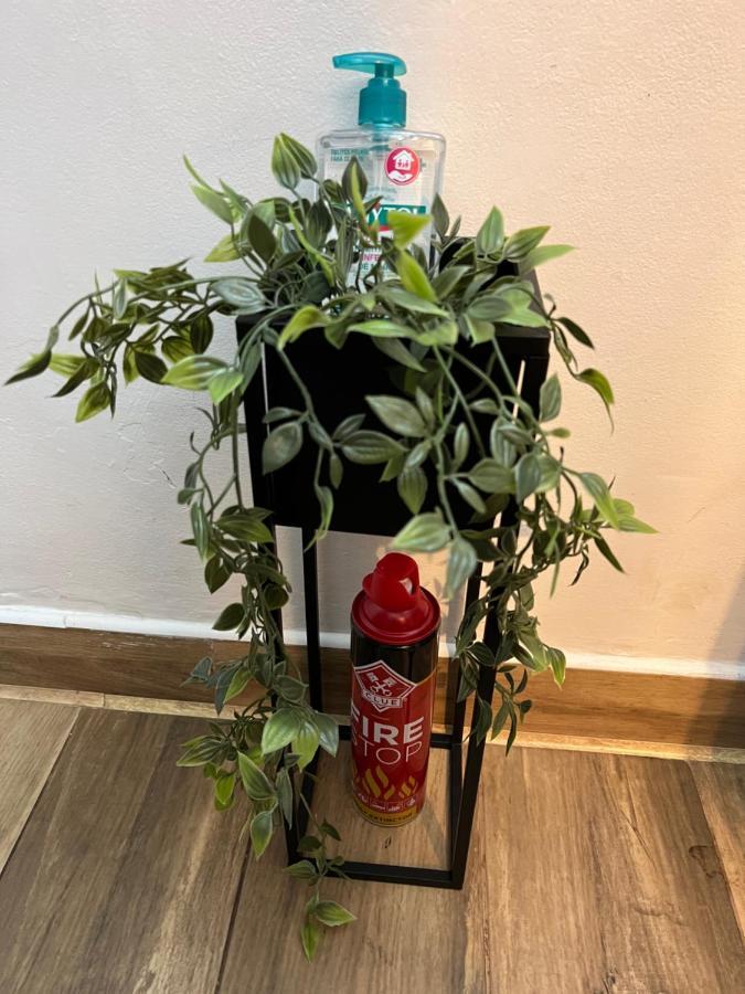 סוסאבה Altheda Living Welcome Home מראה חיצוני תמונה